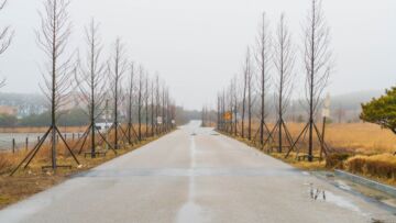 Rozwój infrastruktury drogowej na Śląsku: Ważny krok do budowy drogi wojewódzkiej nr 935
